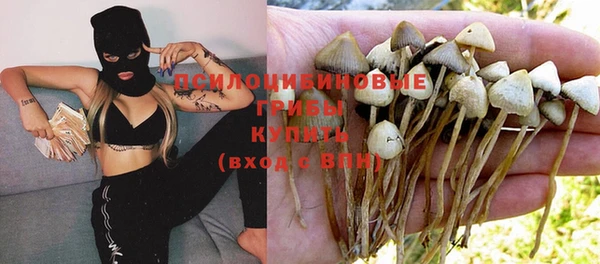 дурь Гусев