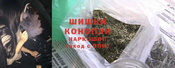 дурь Гусев