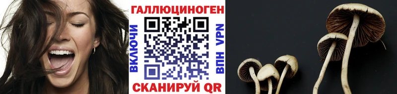 Купить  Майский  Галлюциногенные грибы прущие грибы 